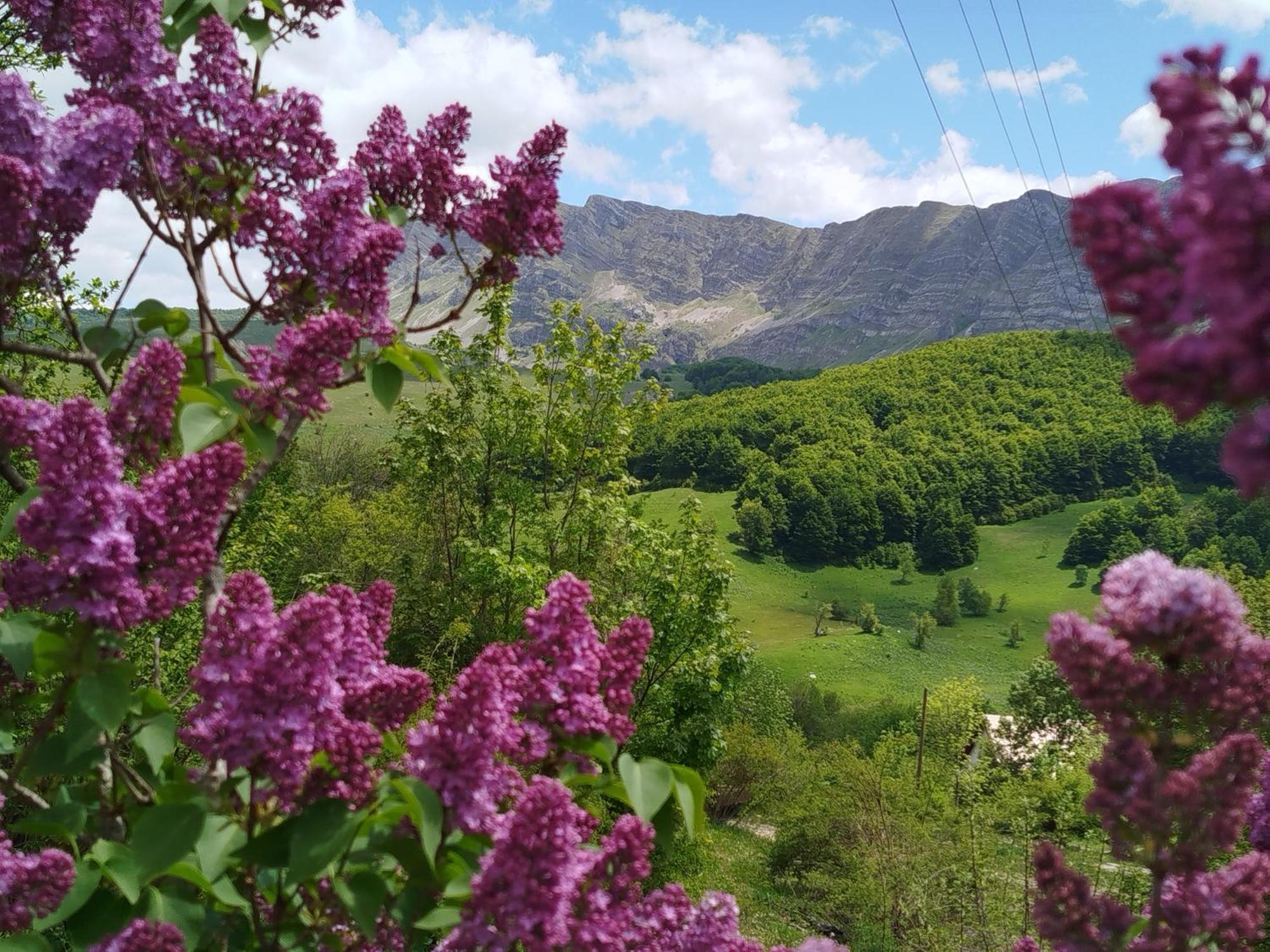 Cemerno Holiday home *